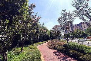 CHENGDU - Quartier Jianshe - Domicile Quentin - Aout 2023 -  33